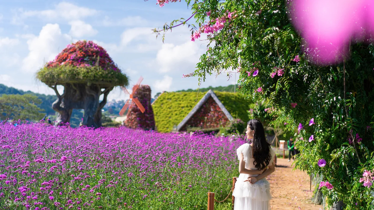 Known as the “City of Flowers,” Da Lat is famous for its cool climate, pine-covered hills, and endless gardens filled with hydrangeas, mimosa, cherry blossoms, and wild sunflowers